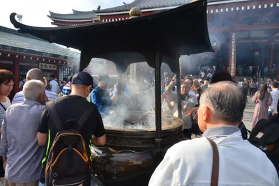 DSC_3484 (Large).JPG